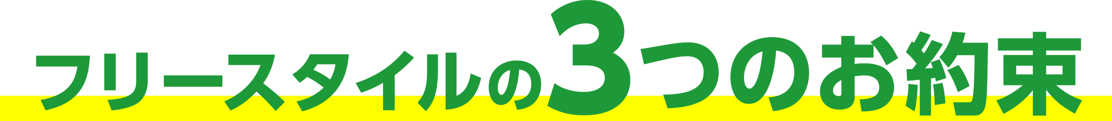 フリースタイル３つのお約束